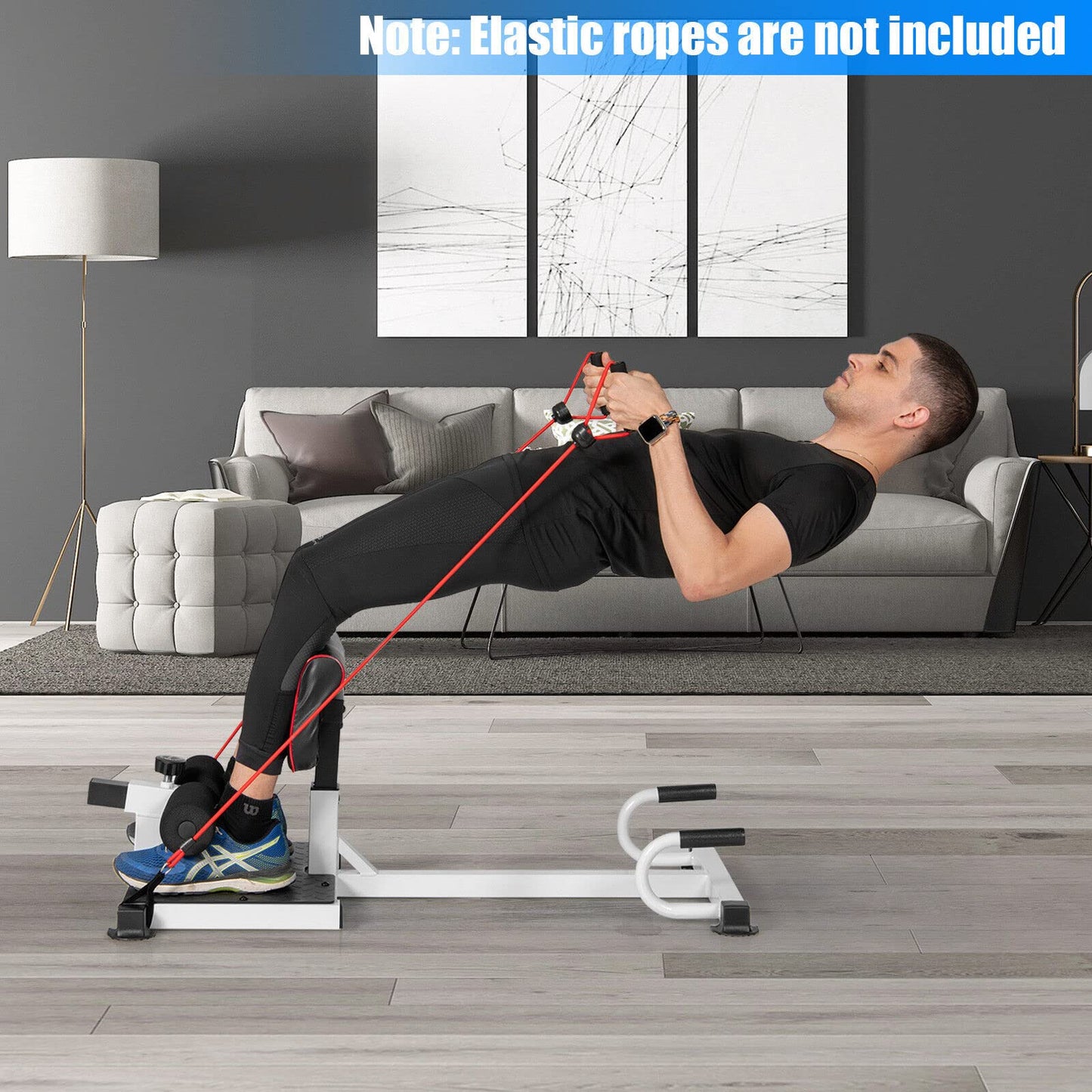 Multifunction Sissy Squat Machine Hip Thrust Machine Sit up Exercise Set