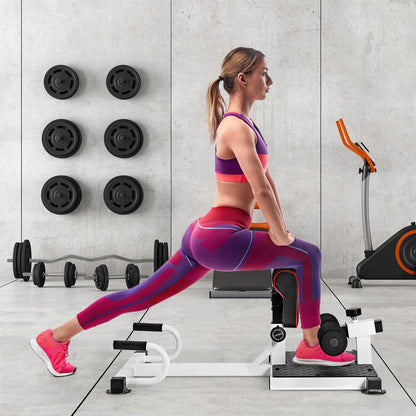 Multifunction Sissy Squat Machine Hip Thrust Machine Sit up Exercise Set