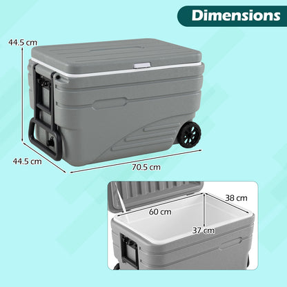 80L Portable Wheeled Ice Cooler, All-Weather HDPE Ice Chest