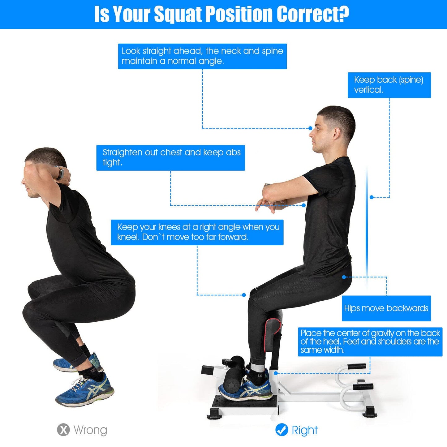 Multifunction Sissy Squat Machine Hip Thrust Machine Sit up Exercise Set