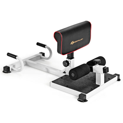 Multifunction Sissy Squat Machine Hip Thrust Machine Sit up Exercise Set