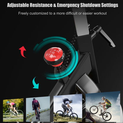 Indoor Magnetic Exercise Bike