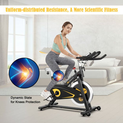 Indoor Magnetic Exercise Bike