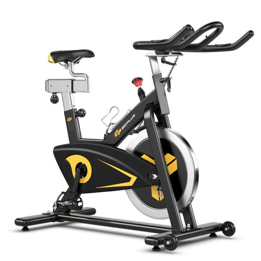 Indoor Magnetic Exercise Bike